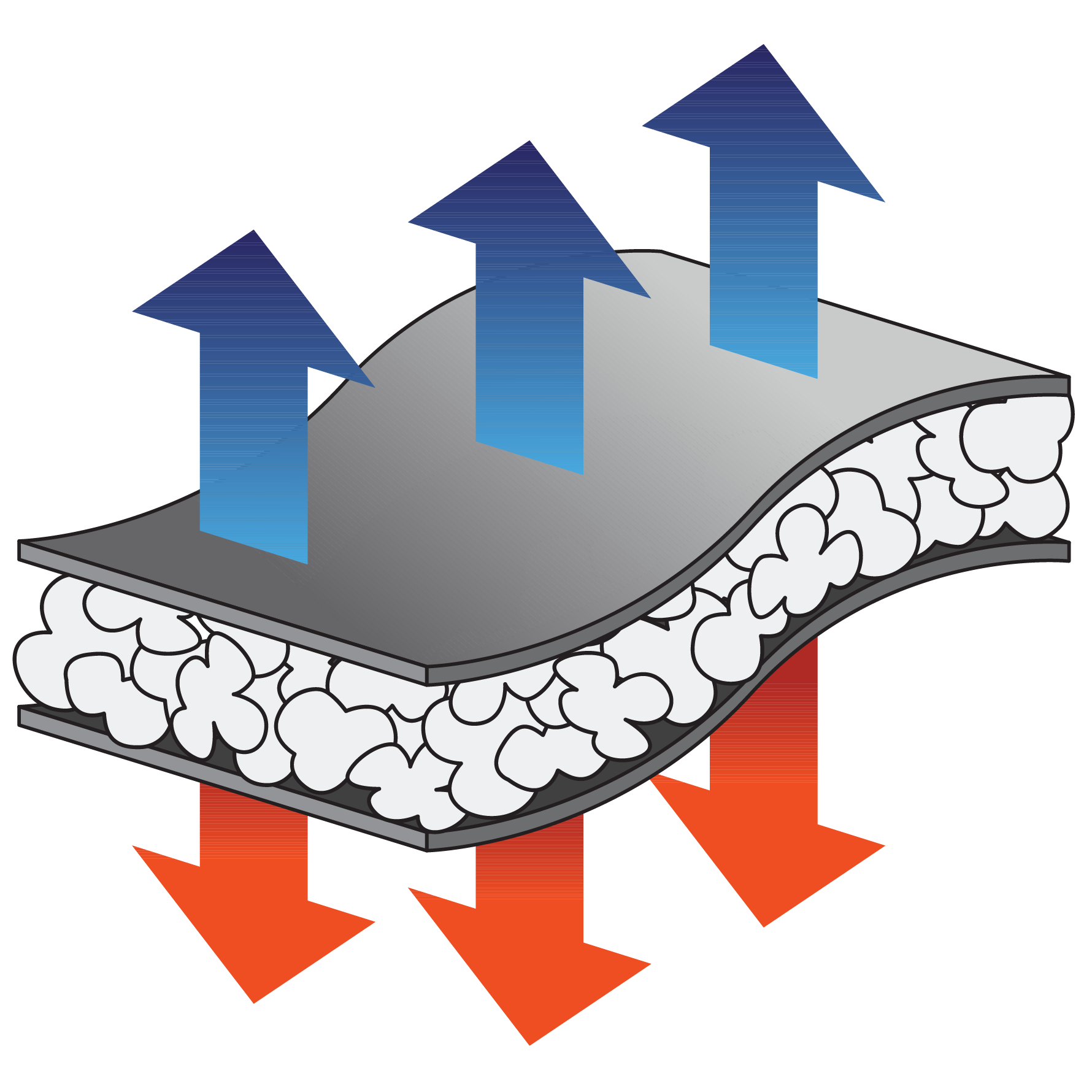 Light thermal liner liner illustation